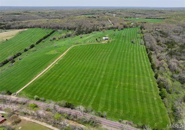 3rd image of 13336 Mount Olive Rd, De Soto, MO 63020 | MLS# MIS25026773