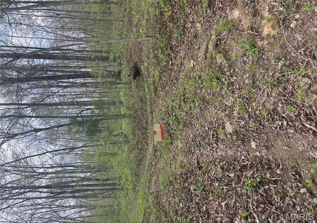 Photo 3 of Farm at 1900 Madison 238, Fredericktown, MO 63645 | MLS# MIS25026859 |  | Sold on 2025-10-20