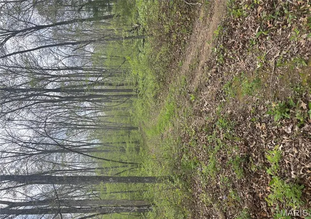 Photo 4 of Farm at 1900 Madison 238, Fredericktown, MO 63645 | MLS# MIS25026859 |  | Sold on 2025-10-20