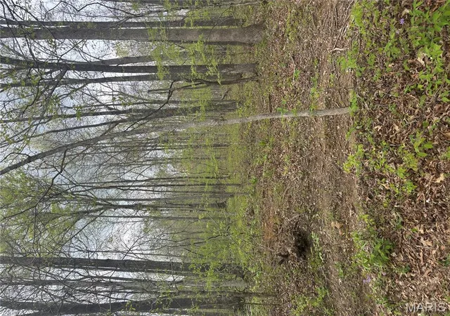 Photo 5 of Farm at 1900 Madison 238, Fredericktown, MO 63645 | MLS# MIS25026859 |  | Sold on 2025-10-20