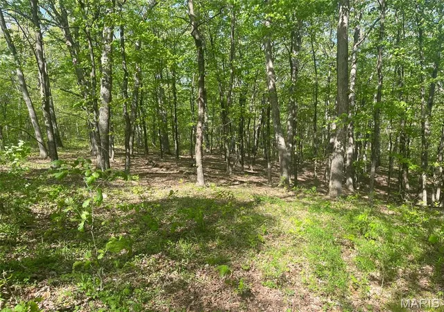Photo 1 of Land for sale at 0 Log Cabin Trail, New Florence, MO 63363 | MLS# MIS25027198 | Listing updated on 2025-11-01