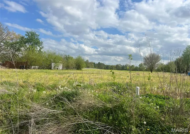 Photo 2 of Farm at 0 E Hudson, New Florence, MO 63363 | MLS# MIS25027671 | | Sold on 2025-07-03