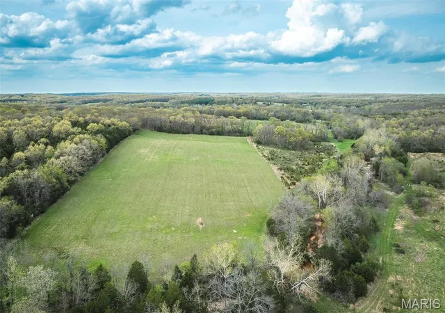 Photo 1 of Farm at 0 Wild Cat Rd, Bland, MO 65014 | MLS# MIS25027990 |  | Sold on 2025-06-05