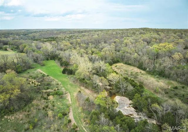 Photo 3 of Farm at 0 Wild Cat Rd, Bland, MO 65014 | MLS# MIS25027990 |  | Sold on 2025-06-05
