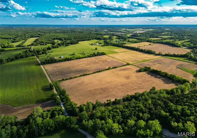 Photo 1 of Farm at 0 Danz Rd, Rosebud, MO 63091 | MLS# MIS25028147 | | Sold on 2025-06-20