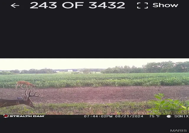 Photo 4 of Farm at 0 Danz Rd, Rosebud, MO 63091 | MLS# MIS25028147 | | Sold on 2025-06-20