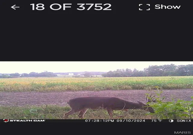 Photo 5 of Farm at 0 Danz Rd, Rosebud, MO 63091 | MLS# MIS25028147 | | Sold on 2025-06-20