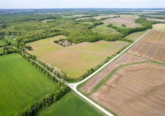 Photo 3 of Farm at 0 Flint Rd (41+/- Ac), Middletown, MO 63359 | MLS# MIS25028459 | | Sold on 2025-09-26