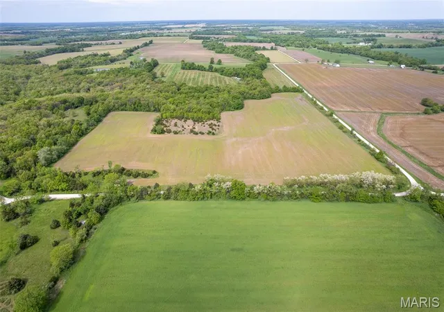 Photo 4 of Farm at 0 Flint Rd (41+/- Ac), Middletown, MO 63359 | MLS# MIS25028459 | | Sold on 2025-09-26