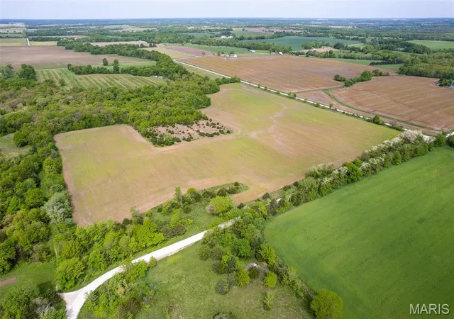 Photo 5 of Farm at 0 Flint Rd (41+/- Ac), Middletown, MO 63359 | MLS# MIS25028459 | | Sold on 2025-09-26