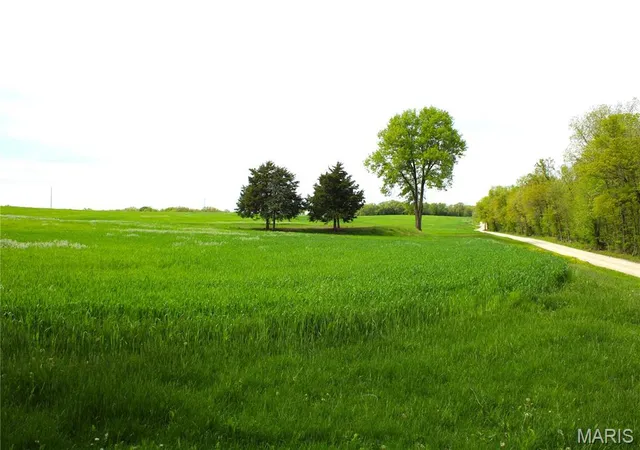 Photo 1 of Farm at 41 Monroe Road 875, Paris, MO 65275 | MLS# MIS25029168 | | Sold on 2025-08-20