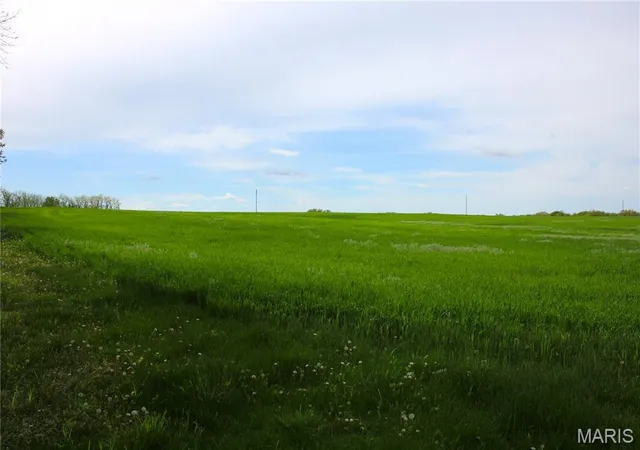 Photo 2 of Farm at 41 Monroe Road 875, Paris, MO 65275 | MLS# MIS25029168 | | Sold on 2025-08-20