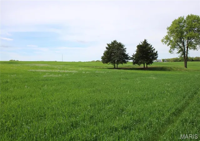 Photo 3 of Farm at 41 Monroe Road 875, Paris, MO 65275 | MLS# MIS25029168 | | Sold on 2025-08-20