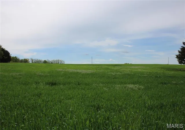 Photo 4 of Farm at 41 Monroe Road 875, Paris, MO 65275 | MLS# MIS25029168 | | Sold on 2025-08-20