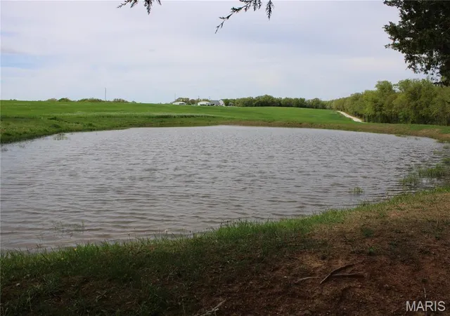Photo 5 of Farm at 41 Monroe Road 875, Paris, MO 65275 | MLS# MIS25029168 | | Sold on 2025-08-20