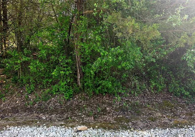 Photo 2 of Land for sale at 0 Glen Echo Dr, De Soto, MO 63020 | MLS# MIS25029679 | Listing updated on 2026-04-13