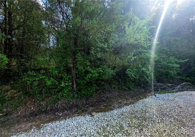 Photo 3 of Land for sale at 0 Glen Echo Dr, De Soto, MO 63020 | MLS# MIS25029679 | Listing updated on 2026-04-13