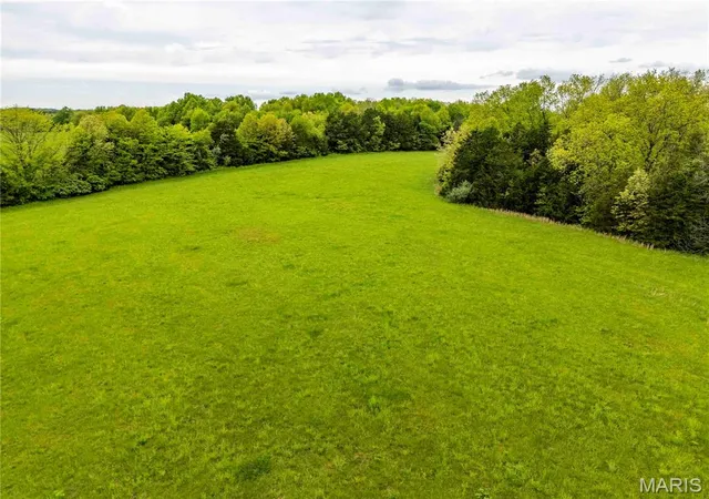 Photo 4 of Farm at 0 Hwy N, Montgomery City, MO 63361 | MLS# MIS25030320 |  | Sold on 2025-07-17