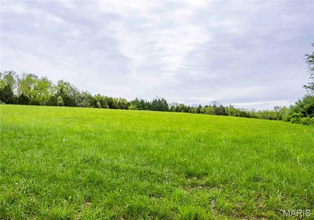 Photo 5 of Farm at 0 Hwy N, Montgomery City, MO 63361 | MLS# MIS25030320 |  | Sold on 2025-07-17