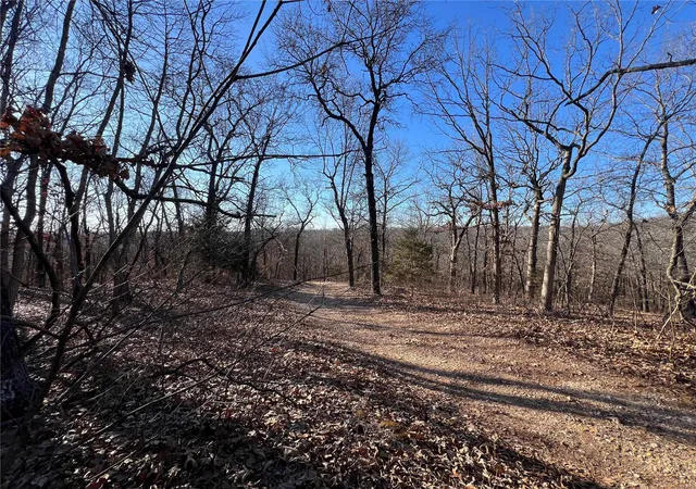 Land for sale at 0 Walking Horse Ln, Saint Mary, MO 63673 | MLS# 24010905