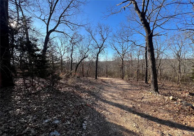 Photo 2 of Land for sale at 0 Walking Horse Ln, Saint Mary, MO 63673 | MLS# 24010905 | Listing updated on 2024-03-06