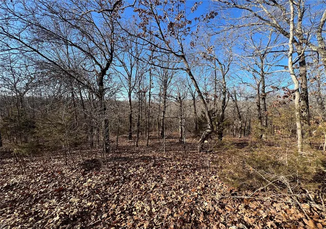 Photo 3 of Land for sale at 0 Walking Horse Ln, Saint Mary, MO 63673 | MLS# 24010905 | Listing updated on 2024-03-06