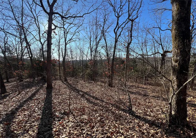 Photo 3 of Land for sale at 0 Walking Horse Ln, Saint Mary, MO 63673 | MLS# 24010905 | Listing updated on 2024-03-06