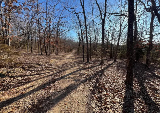 Photo 4 of Land for sale at 0 Walking Horse Ln, Saint Mary, MO 63673 | MLS# 24010905 | Listing updated on 2024-03-06