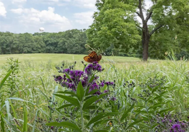 Photo 1 of Land for sale at 0 Lot 2 1008 Brickyard Rd, Hillsboro, MO 63050 | MLS# 24018720 | Listing updated on 2024-08-30