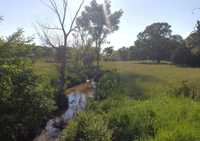 Photo 2 of Land for sale at 0 956+/ Acres Jade Rd, Williamsburg, MO 63388 | MLS# 24031764 | Listing updated on 2024-09-07