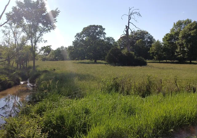 Photo 3 of Land for sale at 0 956+/ Acres Jade Rd, Williamsburg, MO 63388 | MLS# 24031764 | Listing updated on 2024-09-07