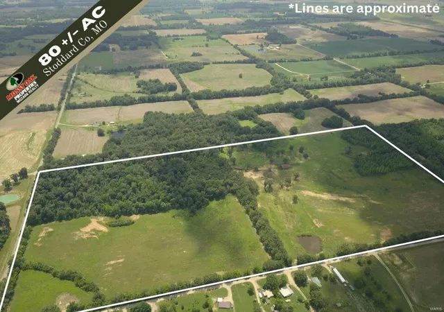 Photo 1 of Land for sale at 0 County Rd 260, Puxico, MO 63960 | MLS# 24040387 | Listing updated on 2024-11-22