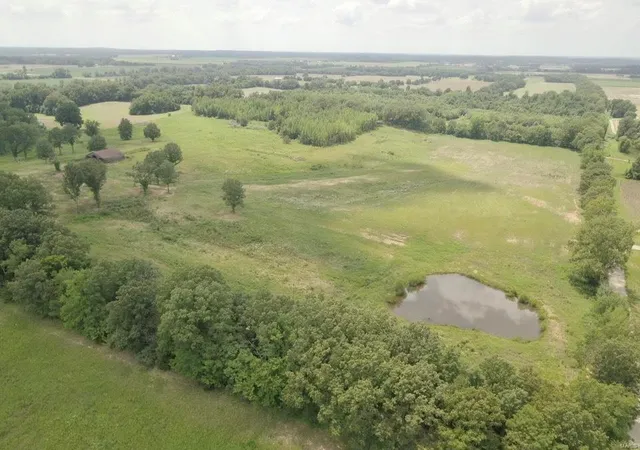 Photo 2 of Land for sale at 0 County Rd 260, Puxico, MO 63960 | MLS# 24040387 | Listing updated on 2024-11-22
