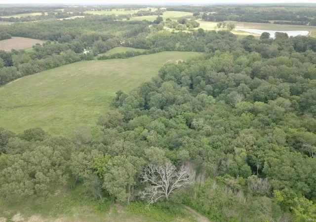 Photo 4 of House for sale at 0 County Rd 260, Puxico, MO 63960 | MLS# 24040387 | Listing updated on 2024-11-22