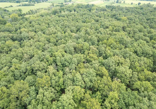 Photo 3 of Land for sale at 0 Highway 221, Doe Run, MO 63637 | MLS# 24046695 | Listing updated on 2024-08-07