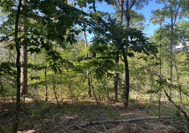 Photo 1 of Land for sale at 0 County Rd 564, Van Buren, MO 63965 | MLS# 24050967 | Listing updated on 2024-12-06