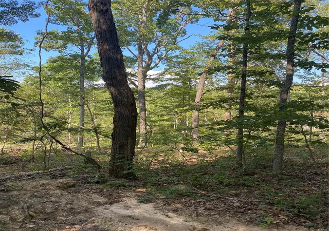 Photo 2 of Land for sale at 0 County Rd 564, Van Buren, MO 63965 | MLS# 24050967 | Listing updated on 2024-12-06