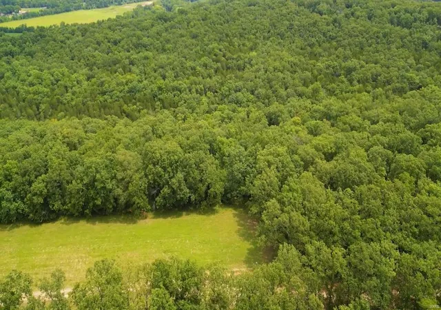Photo 1 of Land for sale at 3 Lot Bage Rd, Festus, MO 63028 | MLS# 24055176 | Listing updated on 2024-12-18