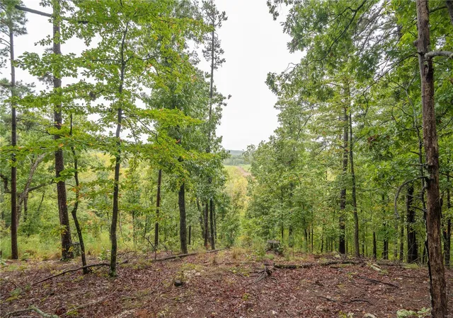 Photo 1 of Land for sale at 0 County Rd 448, Poplar Bluff, MO 63901 | MLS# 24058911 | Listing updated on 2024-09-23