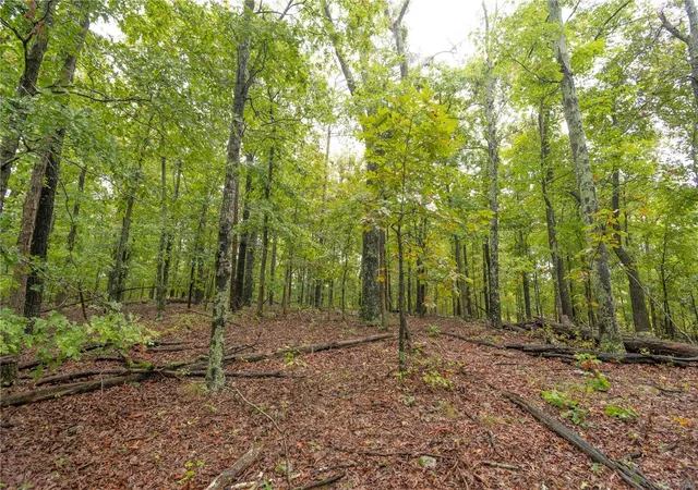 Photo 3 of Land for sale at 0 County Rd 448, Poplar Bluff, MO 63901 | MLS# 24058911 | Listing updated on 2024-09-23