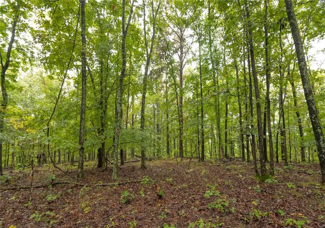 Photo 4 of Land for sale at 0 County Rd 448, Poplar Bluff, MO 63901 | MLS# 24058911 | Listing updated on 2024-09-23