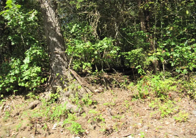 Photo 3 of House for sale at 2351 Buck Crk Rd, Festus, MO 63028 | MLS# 24059920 | Listing updated on 2024-10-06