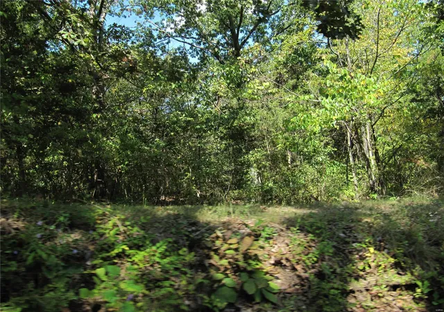 Photo 4 of House for sale at 2351 Buck Crk Rd, Festus, MO 63028 | MLS# 24059920 | Listing updated on 2024-10-06