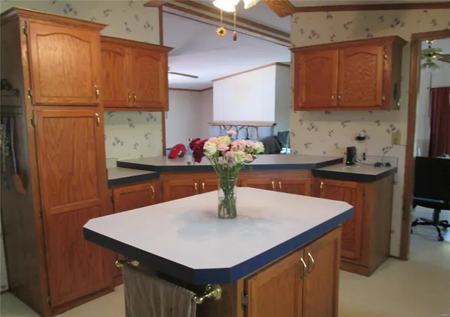 Photo 3 of Single family home for sale at 4542 Dent County Rd 2050, Rolla, MO 65401 | MLS# 24066000 | Listing updated on 2024-12-10