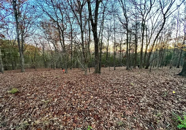 Photo 1 of Land for sale at 6133 State Rd B, Hillsboro, MO 63050 | MLS# 24067912 | Listing updated on 2024-11-24