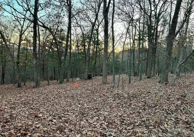 Photo 2 of Land for sale at 6133 State Rd B, Hillsboro, MO 63050 | MLS# 24067912 | Listing updated on 2024-11-24