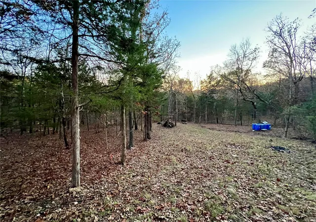 Photo 3 of Land for sale at 6133 State Rd B, Hillsboro, MO 63050 | MLS# 24067912 | Listing updated on 2024-11-24