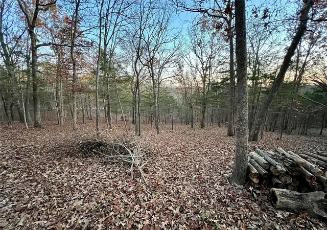 Photo 3 of Land for sale at 6133 State Rd B, Hillsboro, MO 63050 | MLS# 24067912 | Listing updated on 2024-11-24