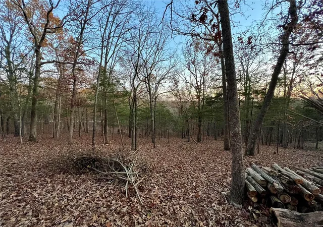Photo 4 of Land for sale at 6133 State Rd B, Hillsboro, MO 63050 | MLS# 24067912 | Listing updated on 2024-11-24