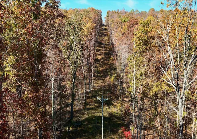 Photo 3 of Land for sale at 0 Missouri 34, Glenallen, MO 63751 | MLS# 24070272 | Listing updated on 2024-11-14